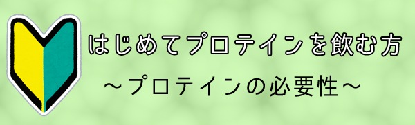 海外サプリメント充実 ボディボックス本店