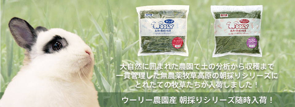 牧草通販専門店うさぎの牧草 Com