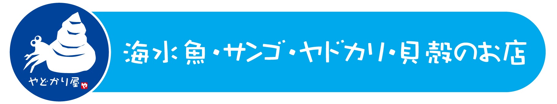 ライブシーソルト 600L【事前決済で送料無料】 | 海水魚・サンゴ飼育